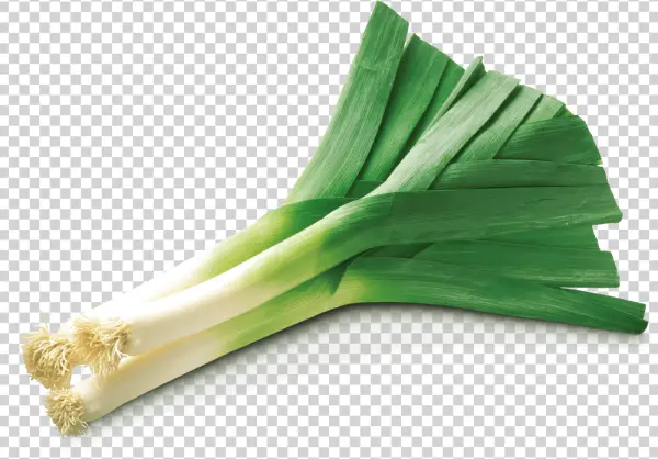 Fresh Leeks PNG Transparent Background