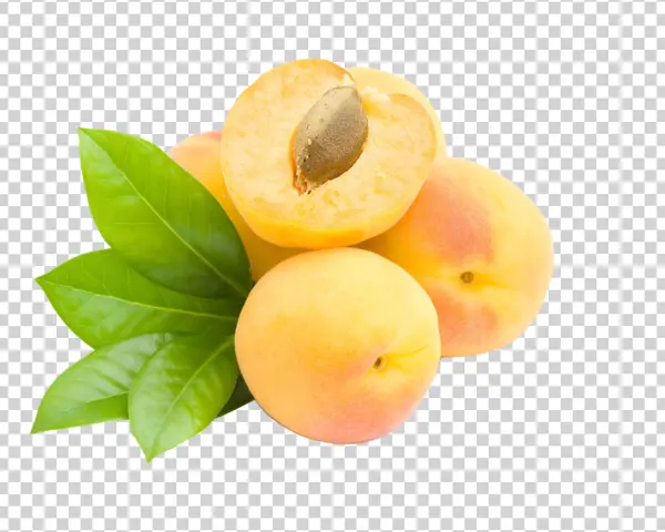 Fresh Apricots with Leaves PNG Transparent