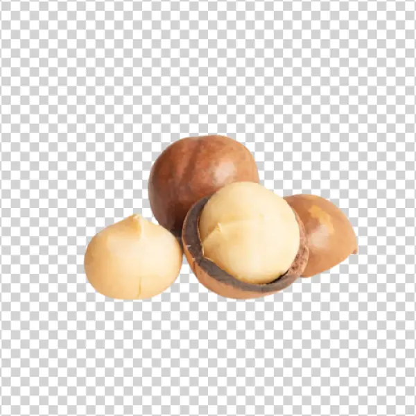 Macadamia Nuts PNG Transparent Background
