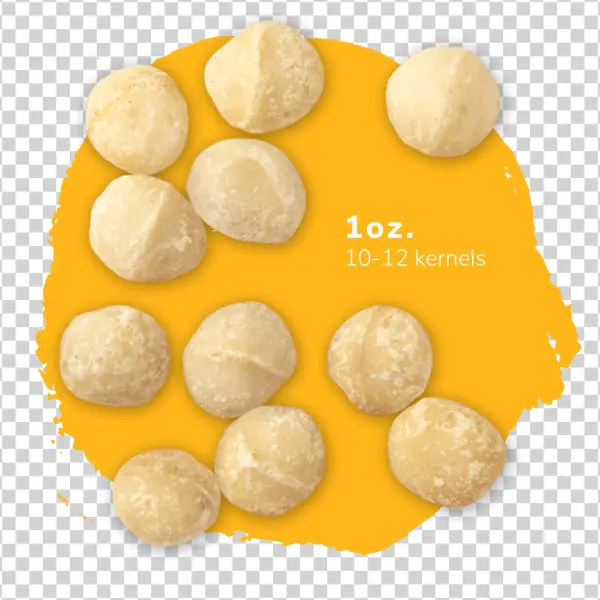 Macadamia Nuts 1oz Portion PNG