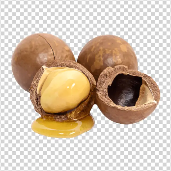 Macadamia Nuts with Honey PNG Transparent Background