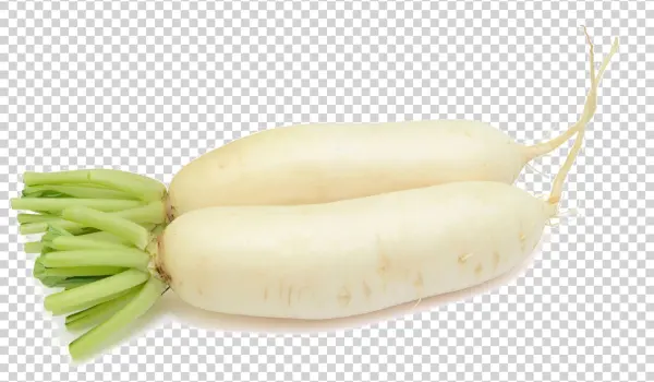 White Radish PNG Transparent Background