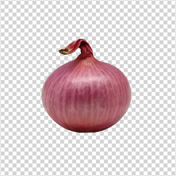 Red Onion PNG Transparent Background