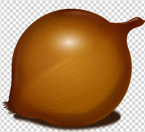 Brown Onion PNG Transparent Background