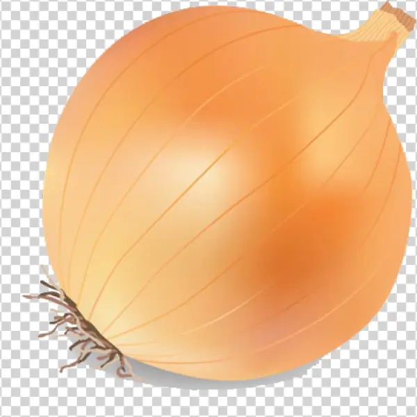Whole Yellow Onion PNG Transparent Background