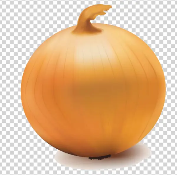 Yellow Onion PNG Transparent Background