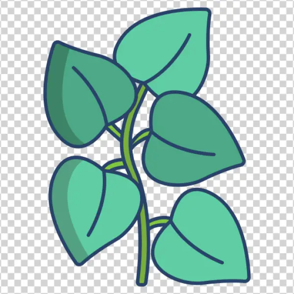 Green Vine Plant Leaves PNG Transparent Background