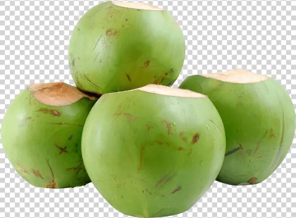 Fresh Green Coconuts PNG Transparent Background