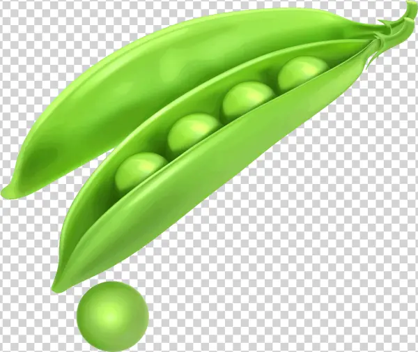 Green Pea Pod with Peas PNG Transparent Background