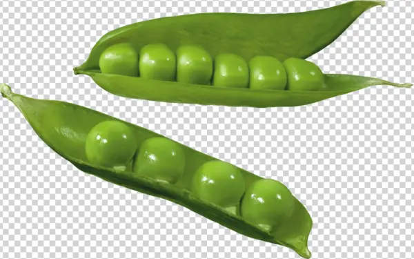 Green Peas in Pods PNG Transparent Background