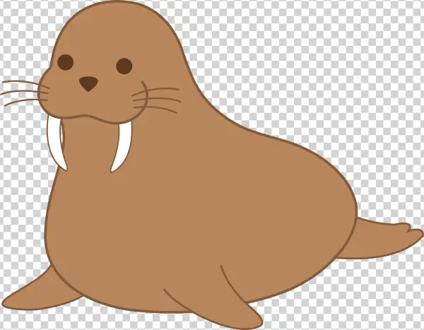 Cute Cartoon Walrus PNG Transparent Background