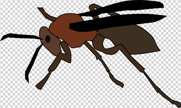 Stylized Brown Ant PNG Transparent Background