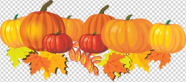Fall Pumpkins and Leaves PNG
