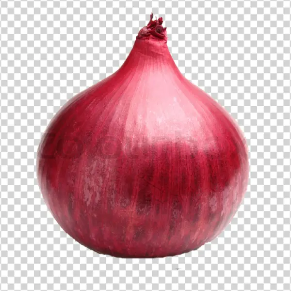 Red Onion PNG Transparent Background