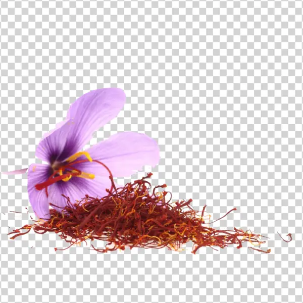 Saffron Flower and Threads PNG Transparent