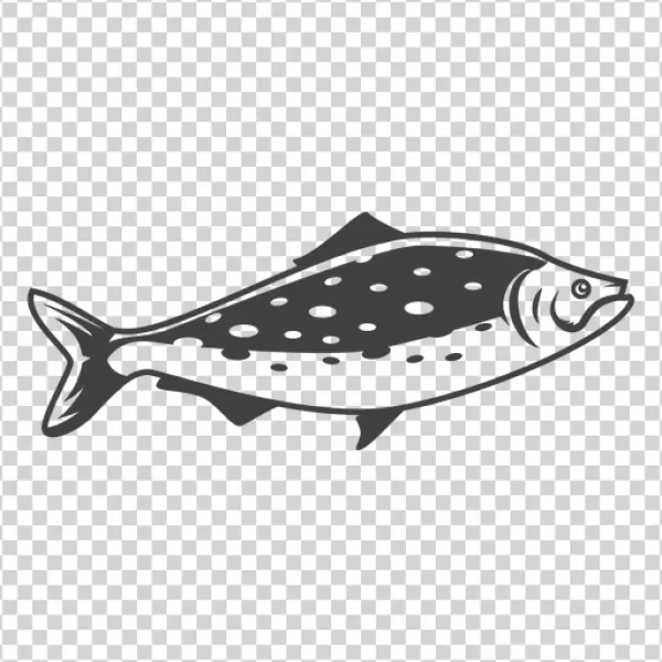 Stylized Fish PNG Transparent Background