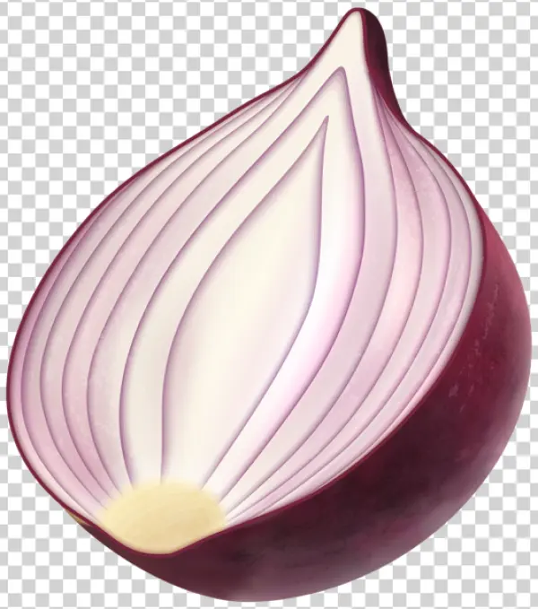Red Onion Half PNG Transparent Background