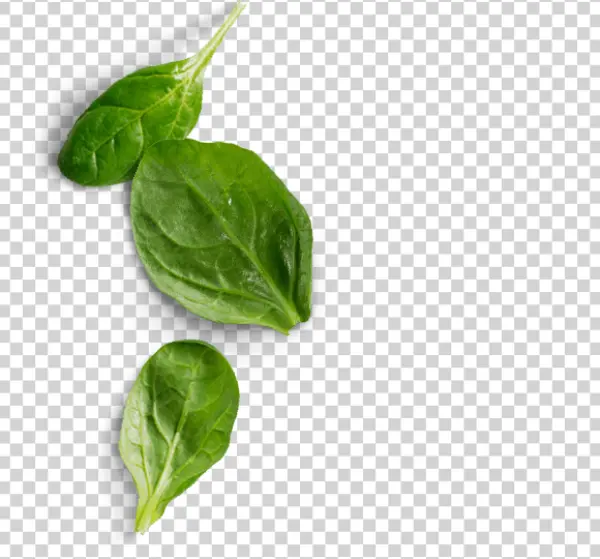 Spinach Leaves PNG Transparent Background