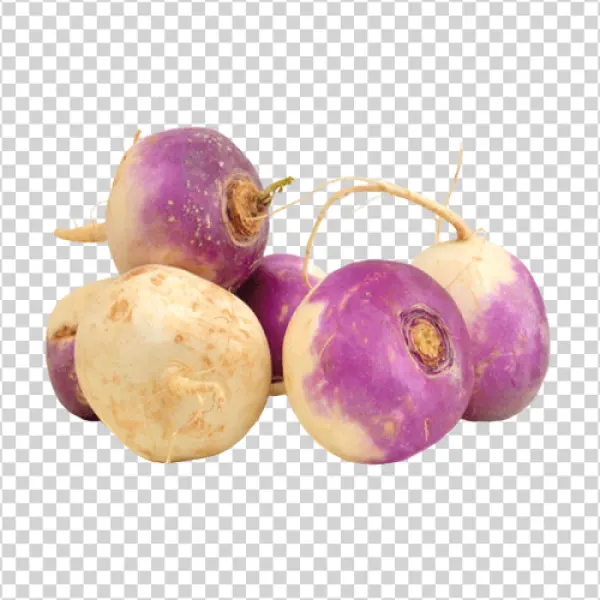 Fresh Turnips PNG Transparent Background