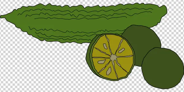Bitter Melon and Limes PNG Transparent Background