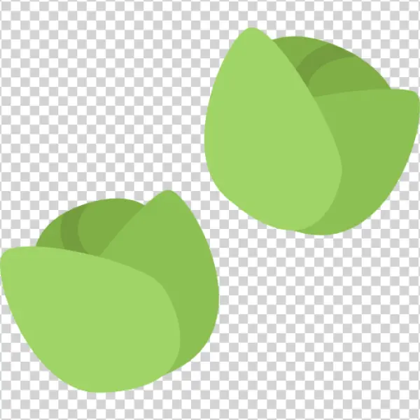 Two Green Cabbages Transparent PNG