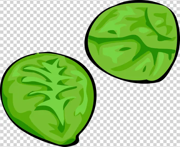 Cartoon Green Lime Slices PNG Transparent