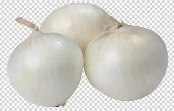 White Onions PNG Transparent Background