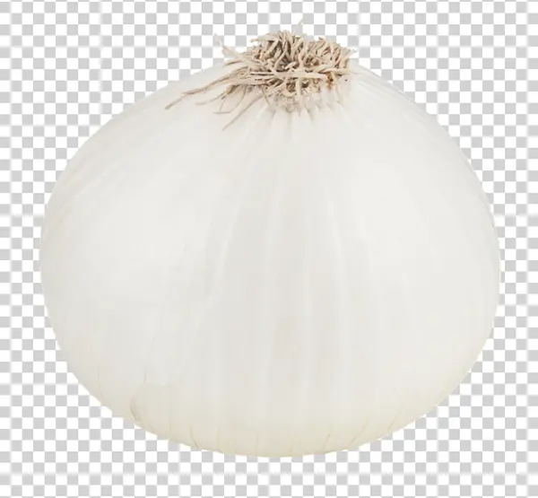 White Onion PNG Transparent Background