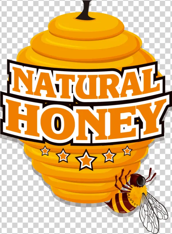 Natural Honey Logo with Bee and Honeycomb