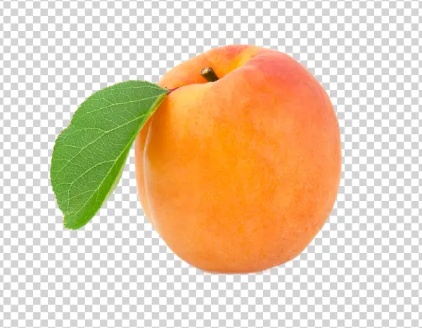 Fresh Apricot with Green Leaf PNG Transparent