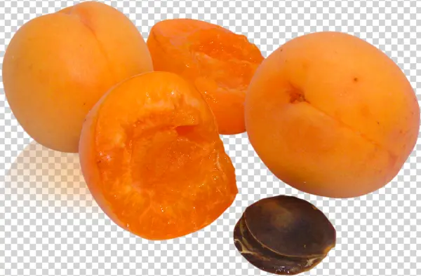 Fresh Whole and Halved Apricots PNG with Pit Transparent Background