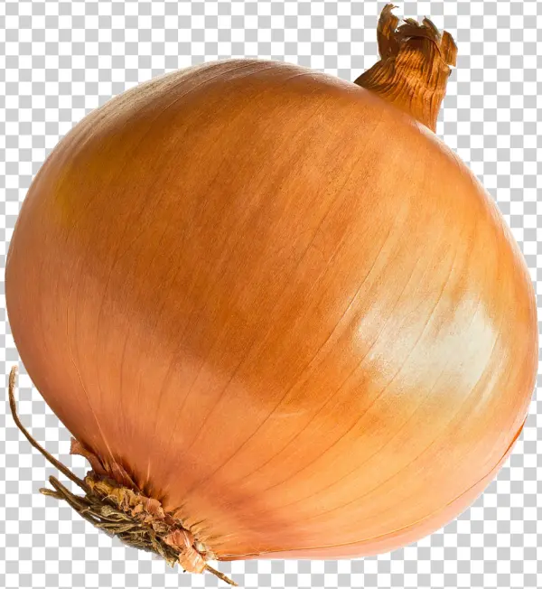Fresh Yellow Onion PNG Transparent Background