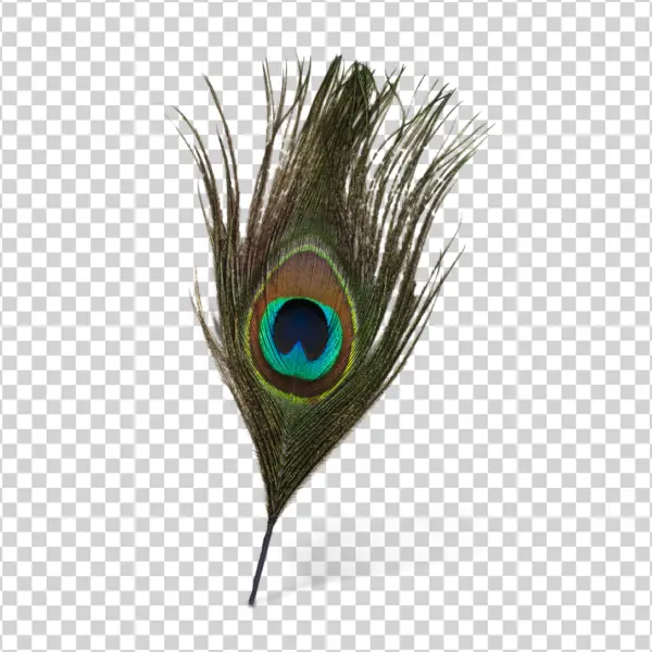 Peacock Feather Eye Transparent PNG