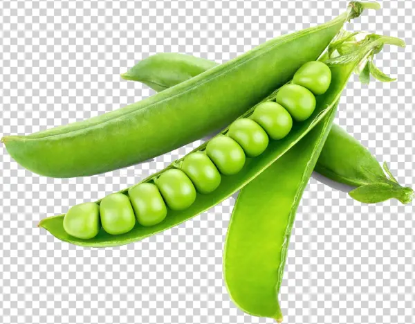 Fresh Green Pea Pods PNG Transparent Background