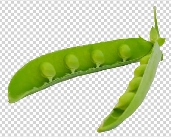Open Green Pea Pod PNG Transparent Background