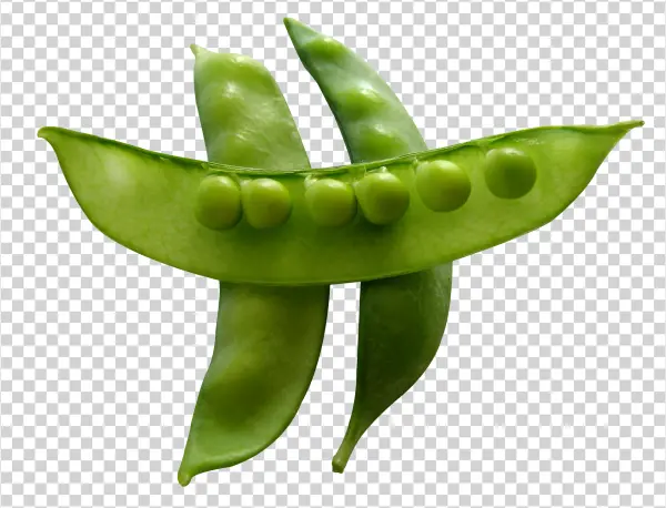 Fresh Green Peas in Pod PNG Transparent Background