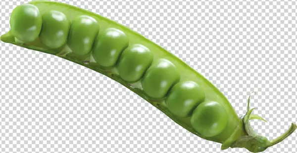 Fresh Green Peas in Pod PNG