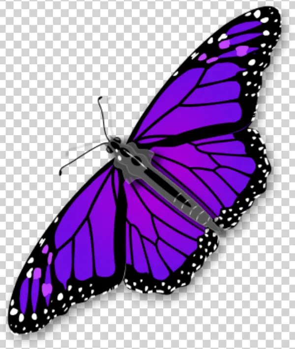 Vibrant Purple Butterfly Transparent PNG