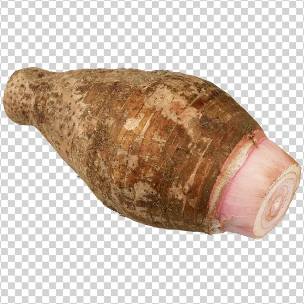 Taro Root PNG Transparent Background