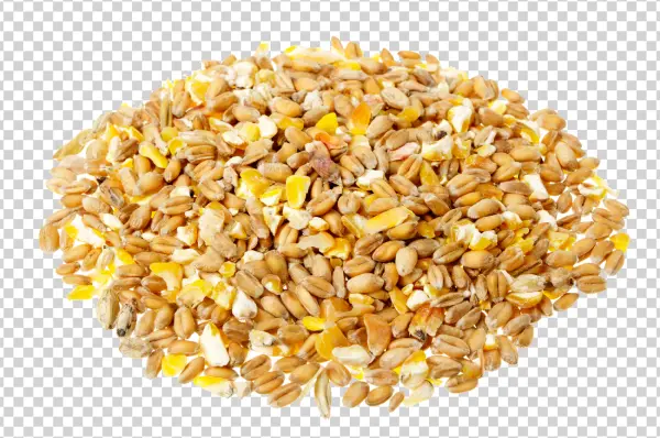 Mixed Grains and Cracked Corn PNG Transparent Background