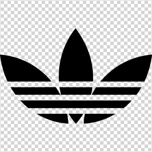 Blank Transparent PNG