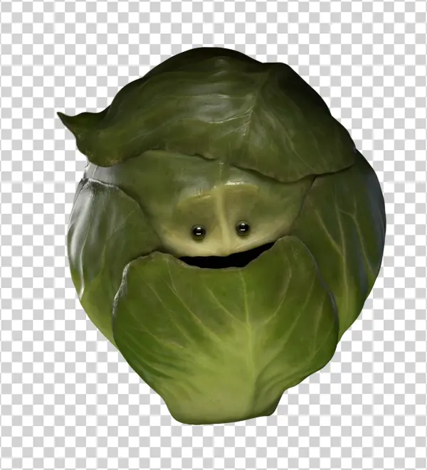Smiling Brussels Sprout Character PNG Transparent Background