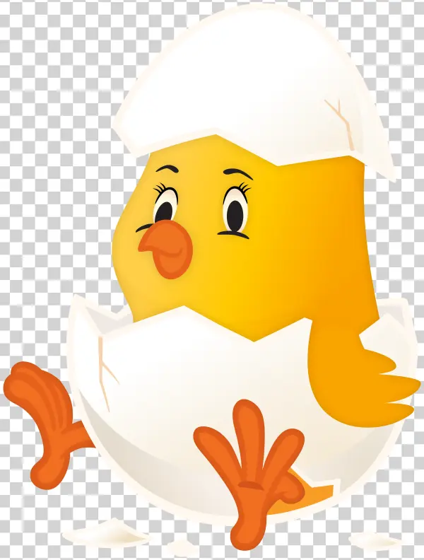 Cute Baby Chick Hatching from Egg PNG