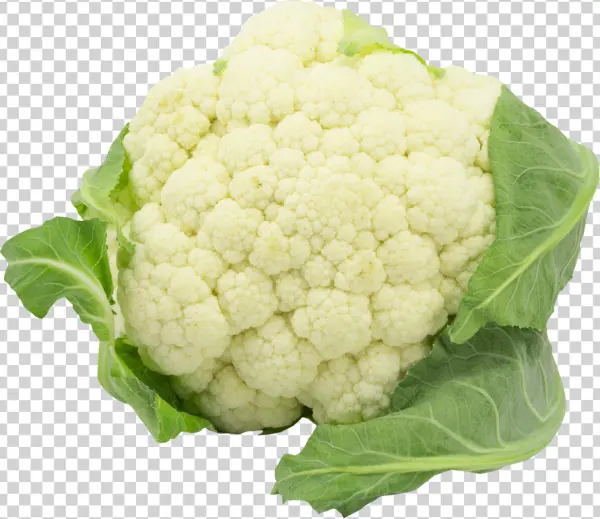 Fresh Cauliflower PNG Transparent Background