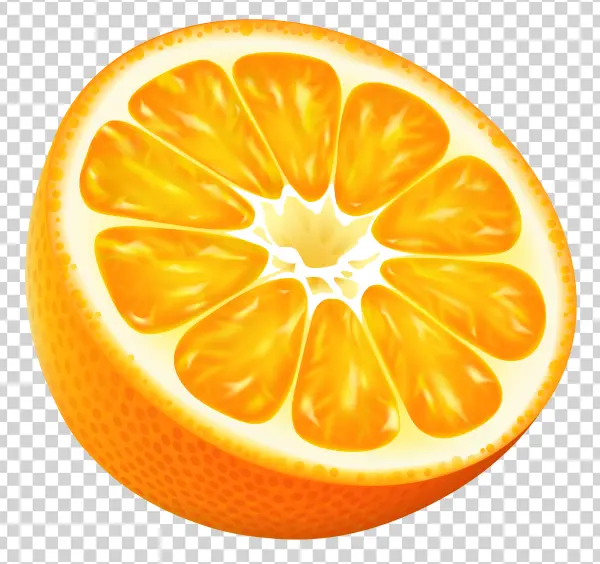 Half Orange Slice Transparent PNG