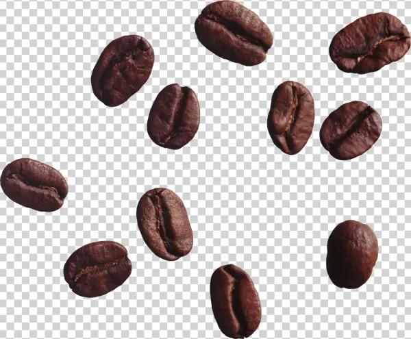 Scattered Roasted Coffee Beans PNG