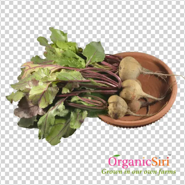 Fresh Beetroots with Greens PNG Transparent Background