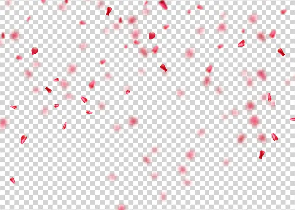 Falling Pink Rose Petals PNG Transparent Background