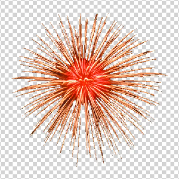 Exploding Firework Burst PNG Transparent Background
