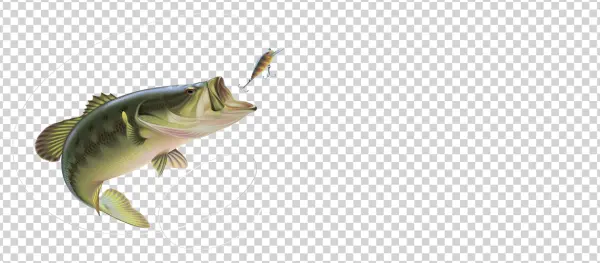 Jumping Bass Fish with Lure PNG Transparent Background